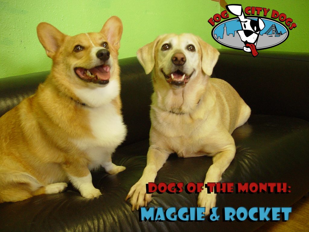 Maggie and Rocket